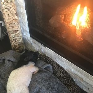 Meet your Posher, Meaghan